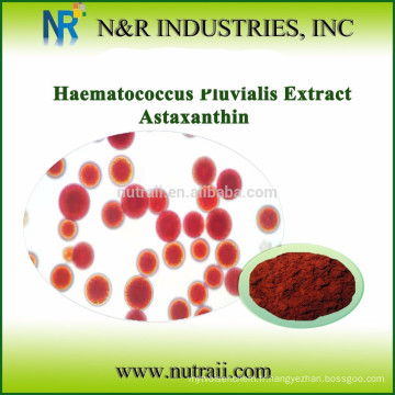 Fournisseur fiable et huile d&#39;astaxanthine 100% naturelle à haute qualité 5% HPLC / UV